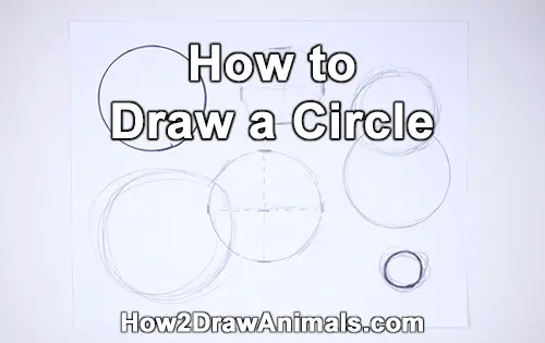 How to Draw a Circle Easy Simple Beginner Basic Art Fundamental