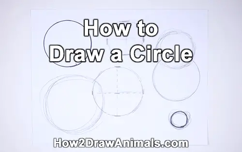 How to Draw a Circle (Four Different Ways)