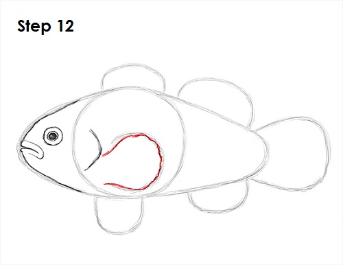 Draw Clownfish 12