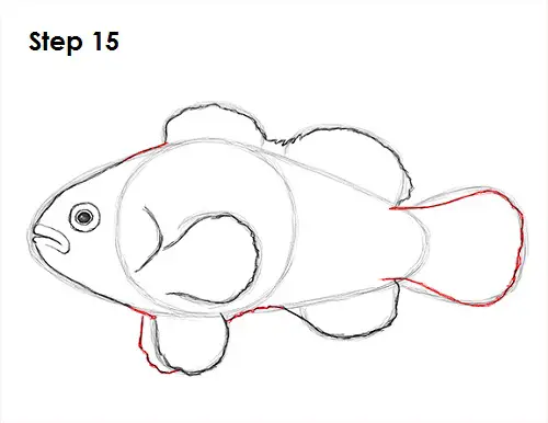 Draw Clownfish 15