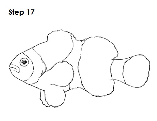 Draw Clownfish Sketch
