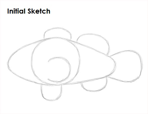 Draw Clownfish Sketch