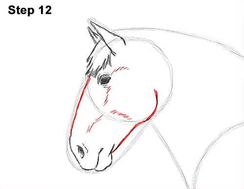 Draw Horse Clydesdale Shire 12