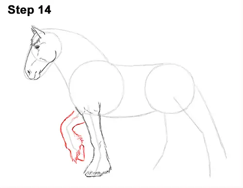 Draw Horse Clydesdale Shire 14