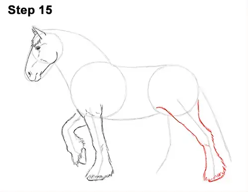 Draw Horse Clydesdale Shire 15