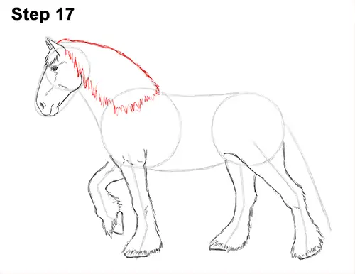 Draw Horse Clydesdale Shire 17
