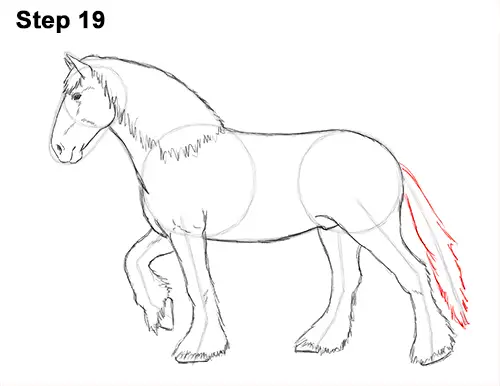 Draw Horse Clydesdale Shire 19