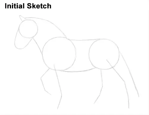 Draw Horse Clydesdale Shire Initial Sketch