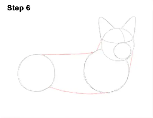 How to Draw a Welsh Corgi Dog