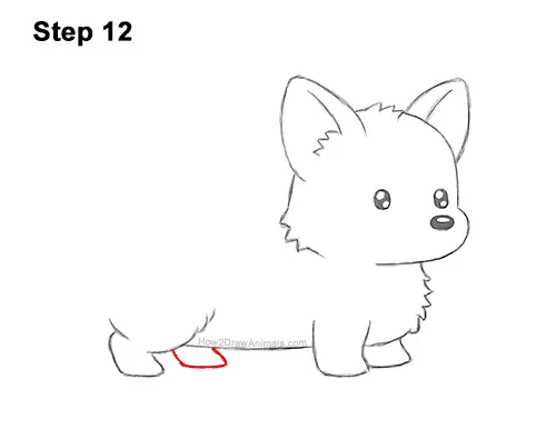 How to Draw Cute Cartoon Corgi Puppy Dog Chibi Kawaii 12