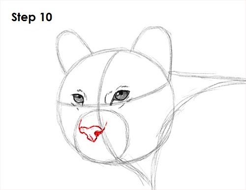 Draw Cougar Cat 10