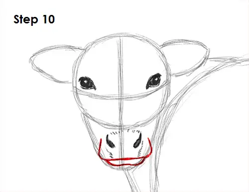 Draw Cow 10