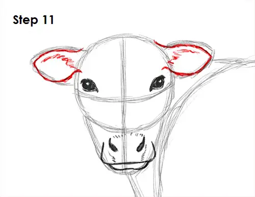 Learn How to Draw Cow Head Cartoon (Animals for Kids) Step by Step : Drawing  Tutorials