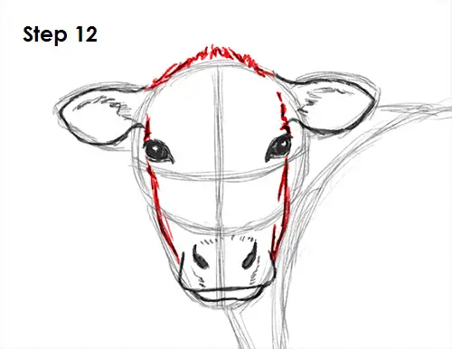 Draw Cow 12