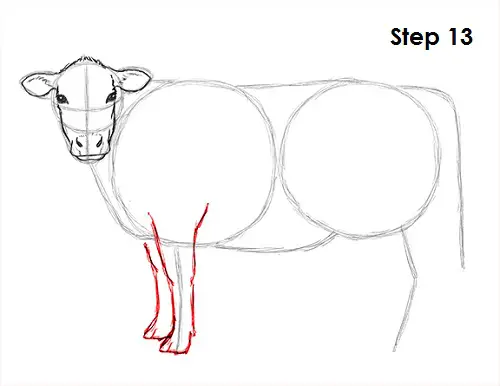 Draw Cow 13
