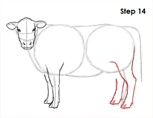 Draw Cow 14