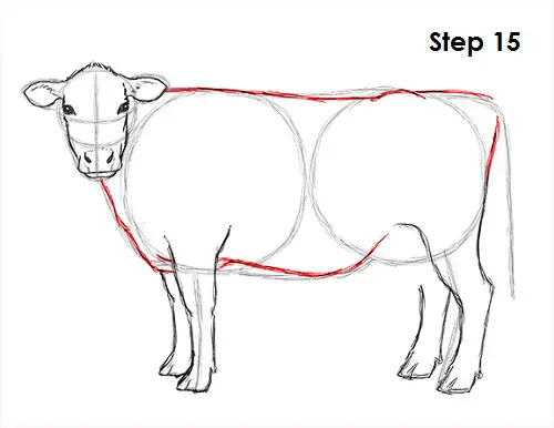 Draw Cow 15