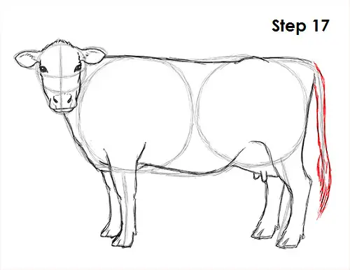 Draw Cow 17