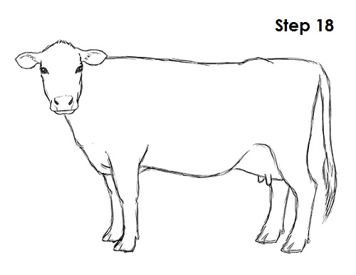 Draw Cow 18