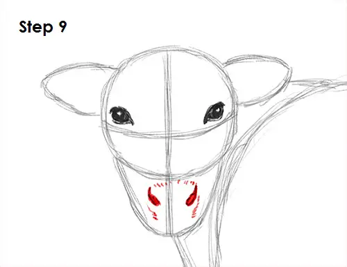 Draw Cow 9