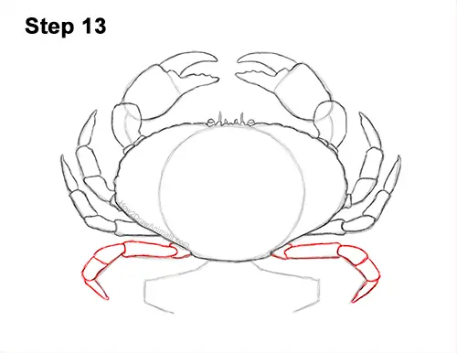 How to Draw a Brown Edible Red Crab 13