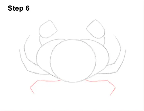How to Draw a Brown Edible Red Crab 6