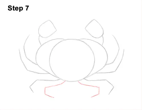 How to Draw a Brown Edible Red Crab 7