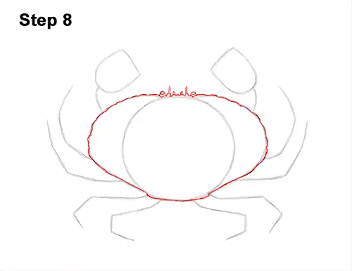 How to Draw a Brown Edible Red Crab 8