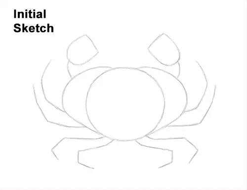 How to Draw a Brown Edible Red Crab Guides Lines