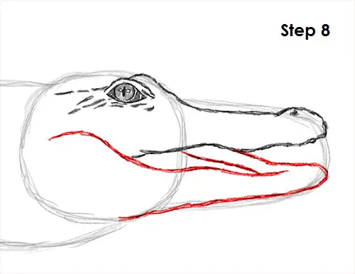 Draw Crocodile 8