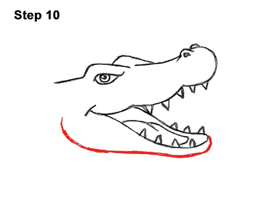 How to Draw a Crocodile Face