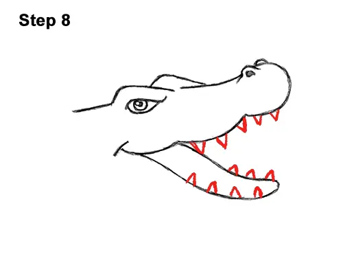 How to Draw Angry Cartoon Crocodile Alligator Smile 8