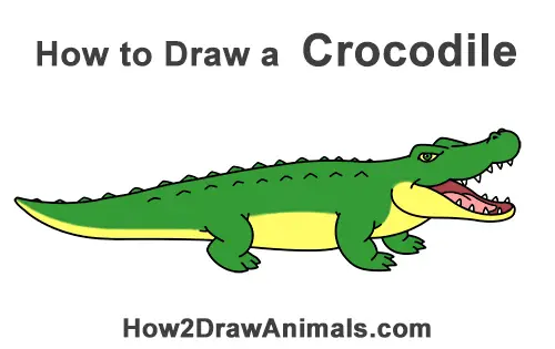How to Draw Angry Cartoon Crocodile Alligator Smile