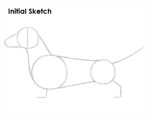 Draw Dachshund Sketch