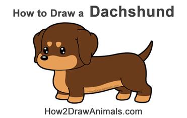 How to Draw a Dachshund Dog (Cartoon) VIDEO & Step-by-Step Pictures
