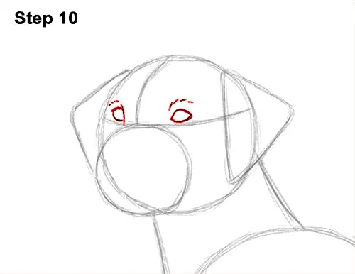 How to Draw Dalmatian Puppy 10