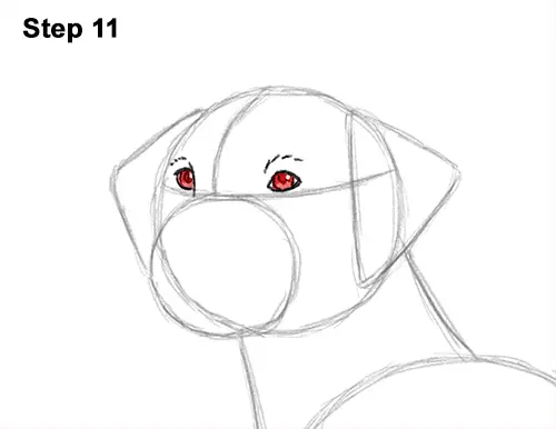 How to Draw Dalmatian Puppy 11