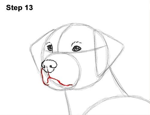 How to Draw Dalmatian Puppy 13