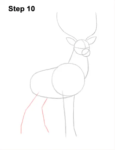 How to Draw Noble Deer Antlers Majestic Buck Stag 10