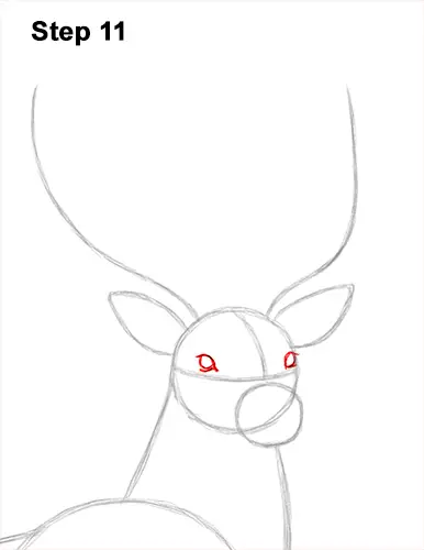 How to Draw Noble Deer Antlers Majestic Buck Stag 11