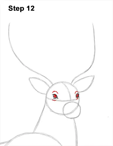 How to Draw Noble Deer Antlers Majestic Buck Stag 12