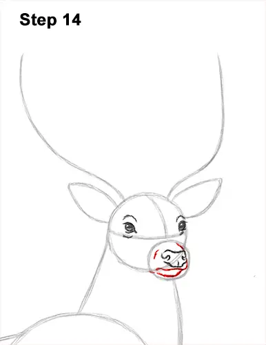 How to Draw Noble Deer Antlers Majestic Buck Stag 14