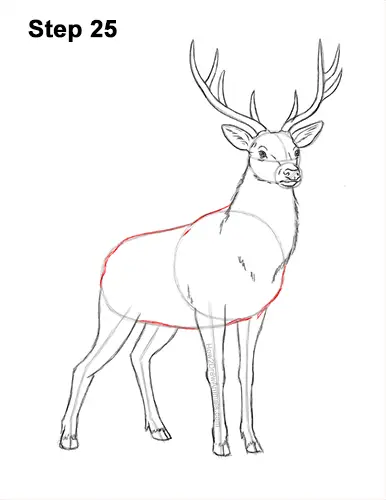 deer – Raj's Artz Blog