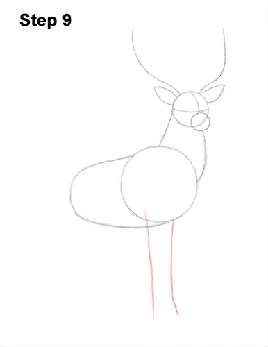 How to Draw Noble Deer Antlers Majestic Buck Stag 9