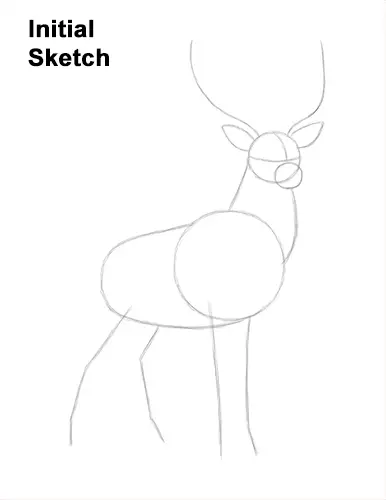 How to Draw Noble Deer Antlers Majestic Buck Stag Guides Lines