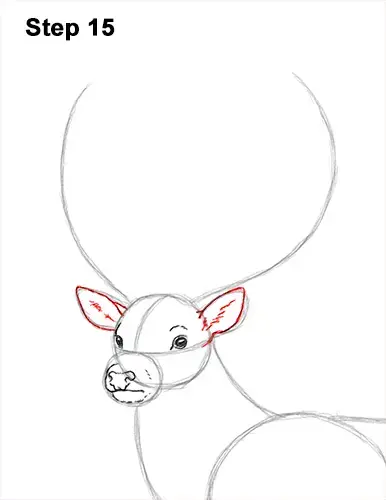 How to Draw Deer Antlers Step by Step