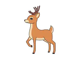 How to Draw a Cute Cartoon Deer