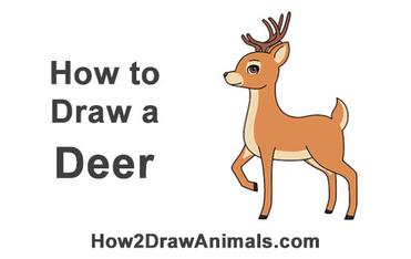 How to Draw a Deer (Cartoon) VIDEO & Step-by-Step Pictures