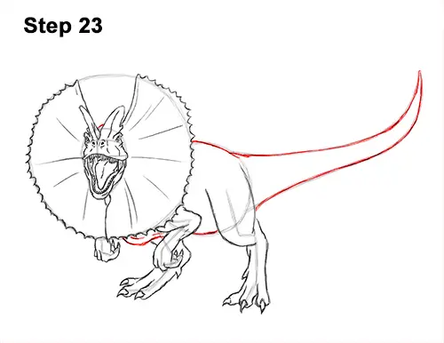 Draw Dinosaur Dilophosaurus 23