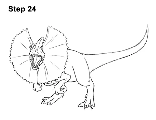 Draw Dinosaur Dilophosaurus 24